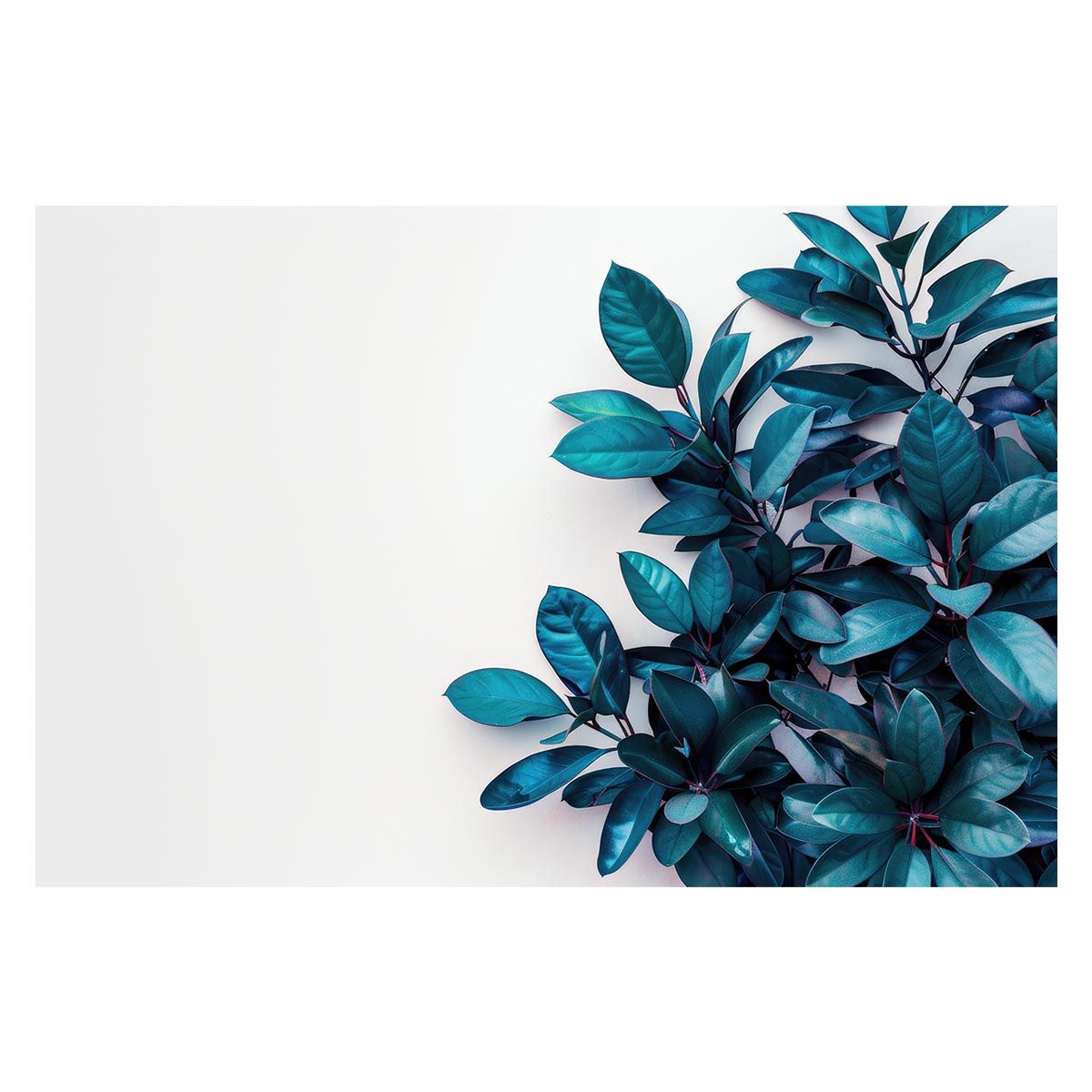 B2サイズ（約51x73cm）】【lh-poster-4649】植物 グリーン 葉っぱ 観葉