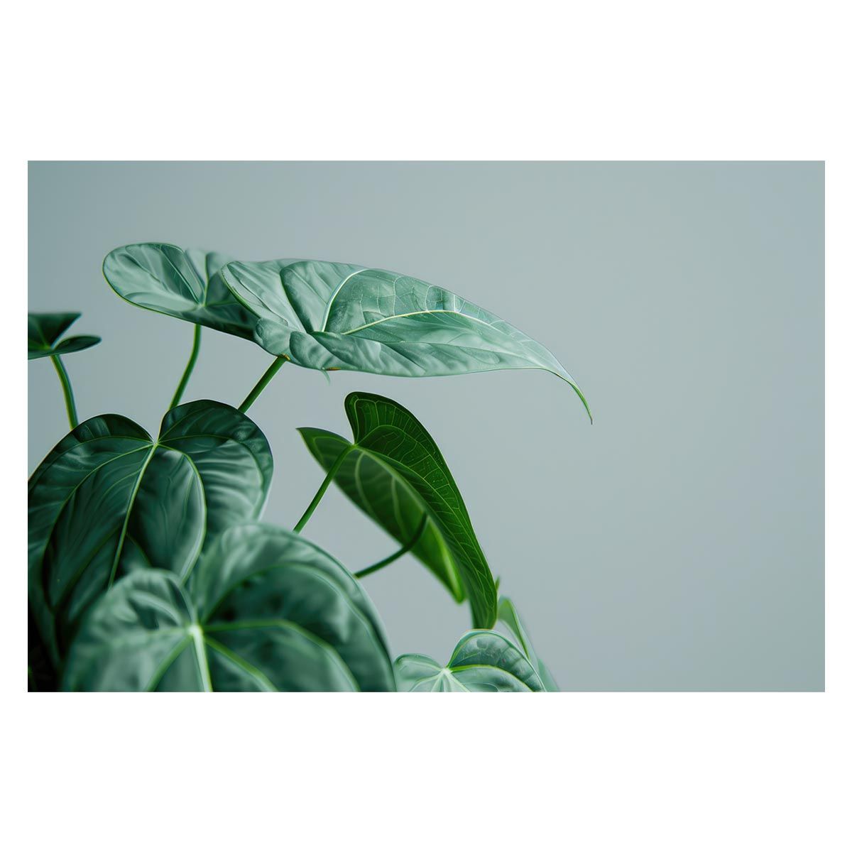 大正天皇即位記念(1915年) 砲弾型文鎮と石の台座のセット