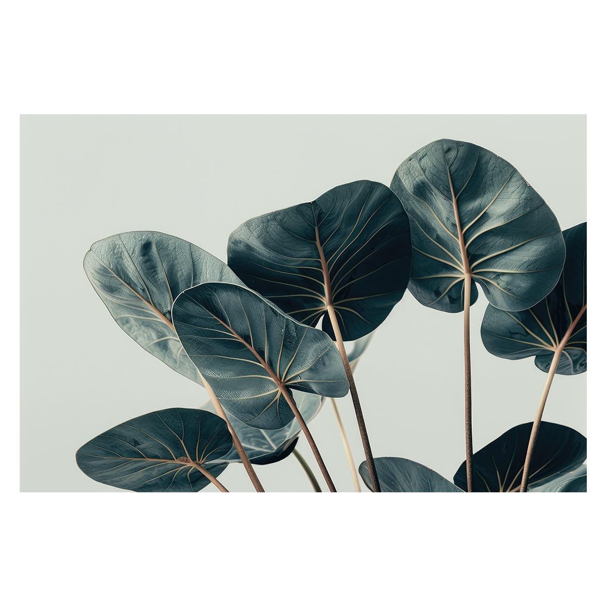 【A1サイズ（約59x84cm）】【lh-poster-4672】植物 グリーン 葉っぱ 観葉 ポスター ボタニカル 草 自然 インテリア アート