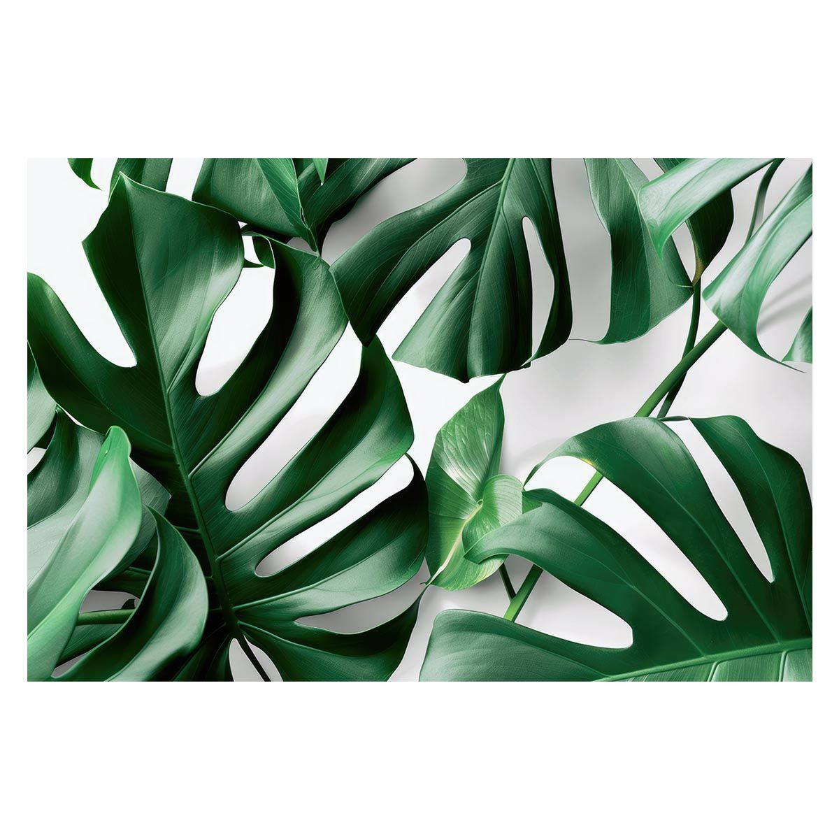 B2サイズ（約51x73cm）】【lh-poster-4770】植物 グリーン 葉っぱ 観葉