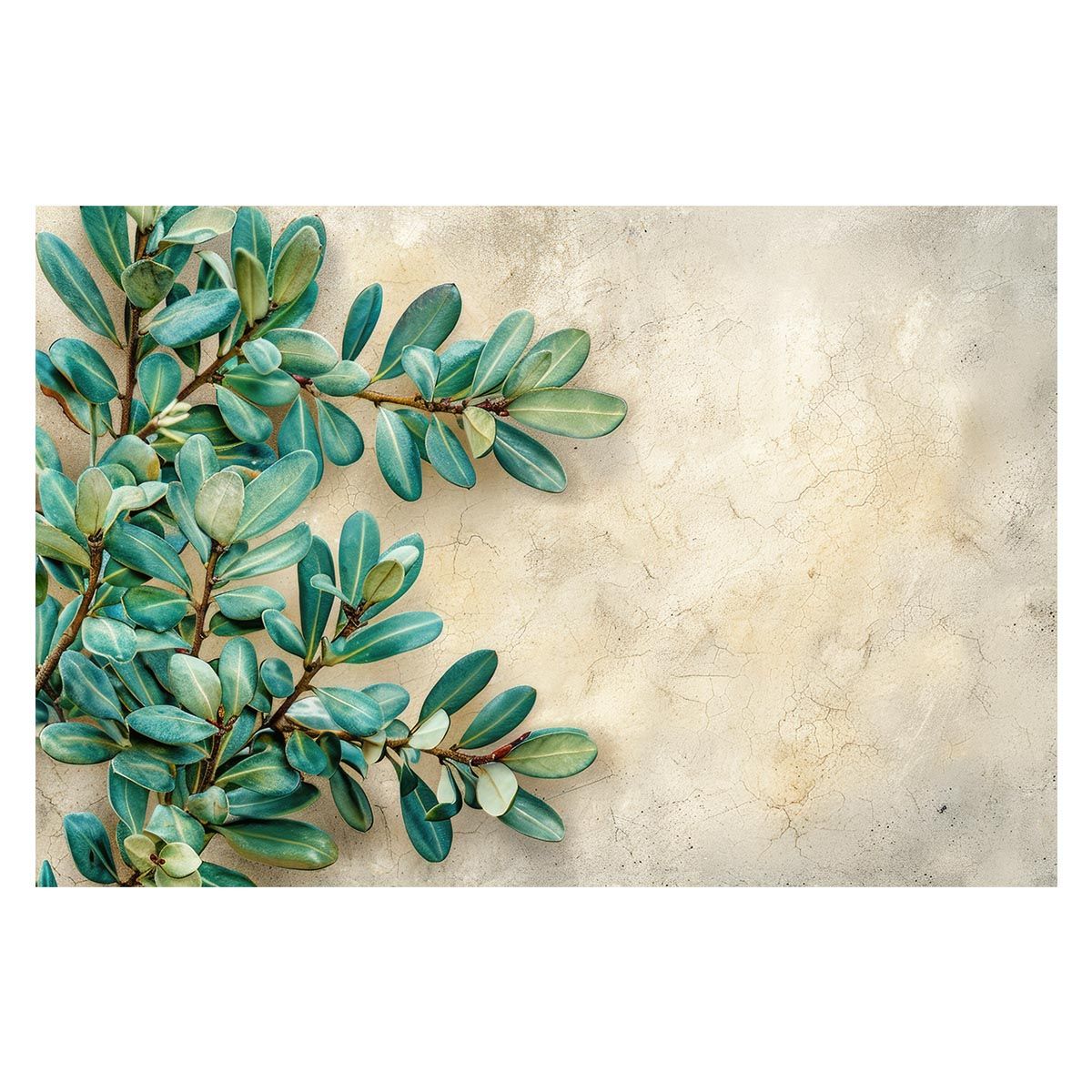 【A2サイズ（約42x59cm）】【lh-poster-4686】植物 グリーン 葉っぱ 観葉 ポスター ボタニカル 草 自然 インテリア アート