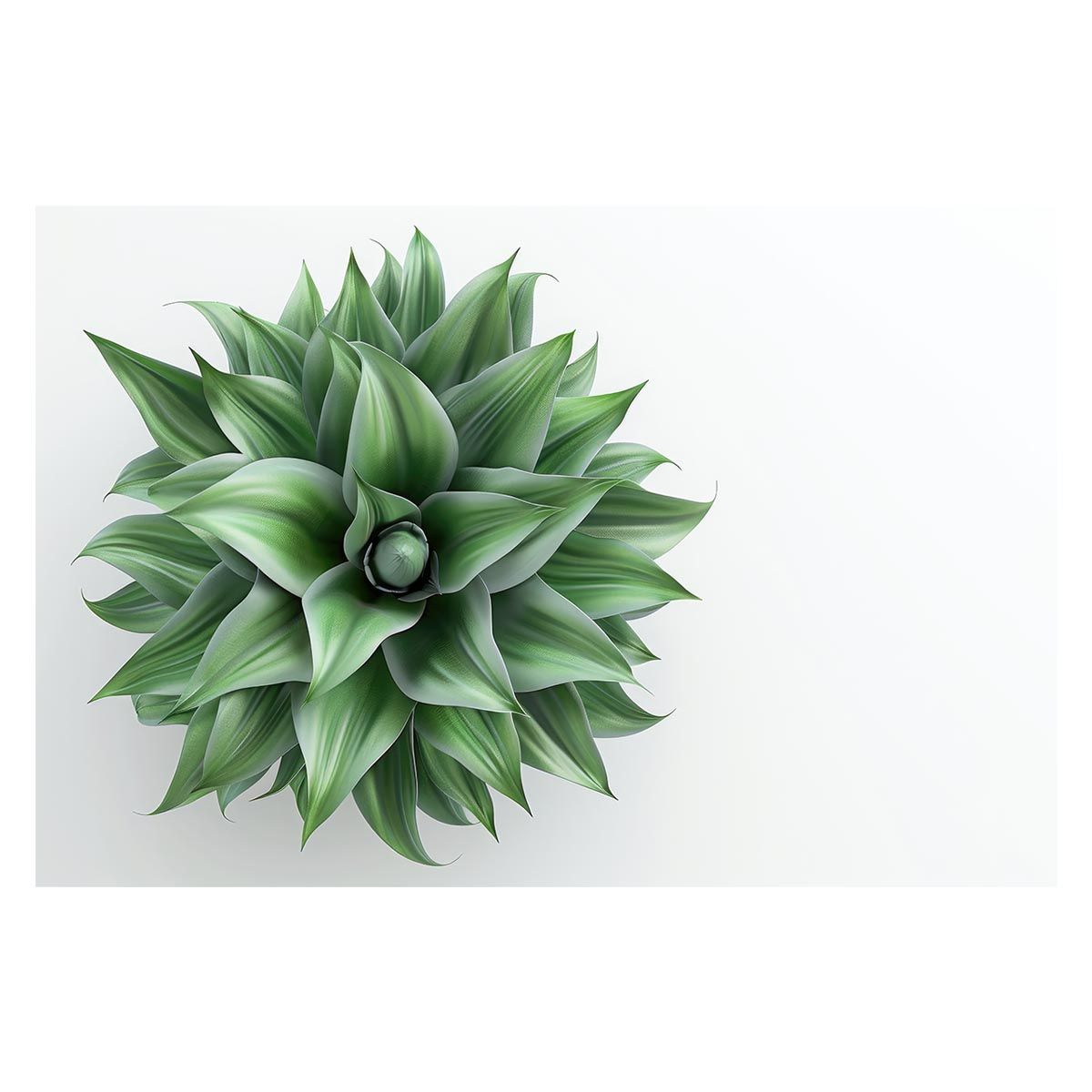 トヨタ パブリカ スポーツ クリアランス 800 カムシャフト タイミング