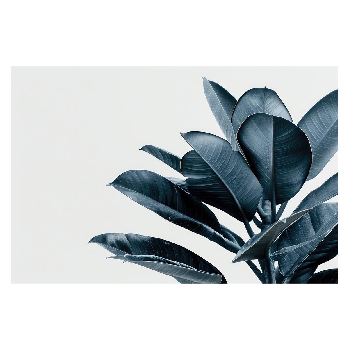 【B1サイズ（約73x103cm）】【lh-poster-4695】植物 グリーン 葉っぱ 観葉 ポスター ボタニカル 草 自然 インテリア アート