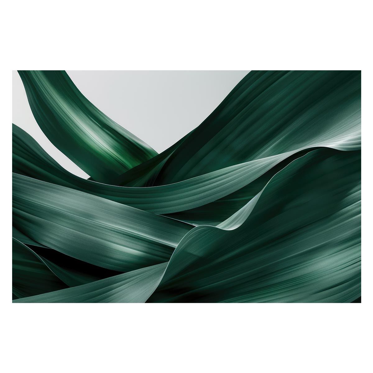 【A1サイズ（約59x84cm）】【lh-poster-4702】植物 グリーン 葉っぱ 観葉 ポスター ボタニカル 草 自然 インテリア アート