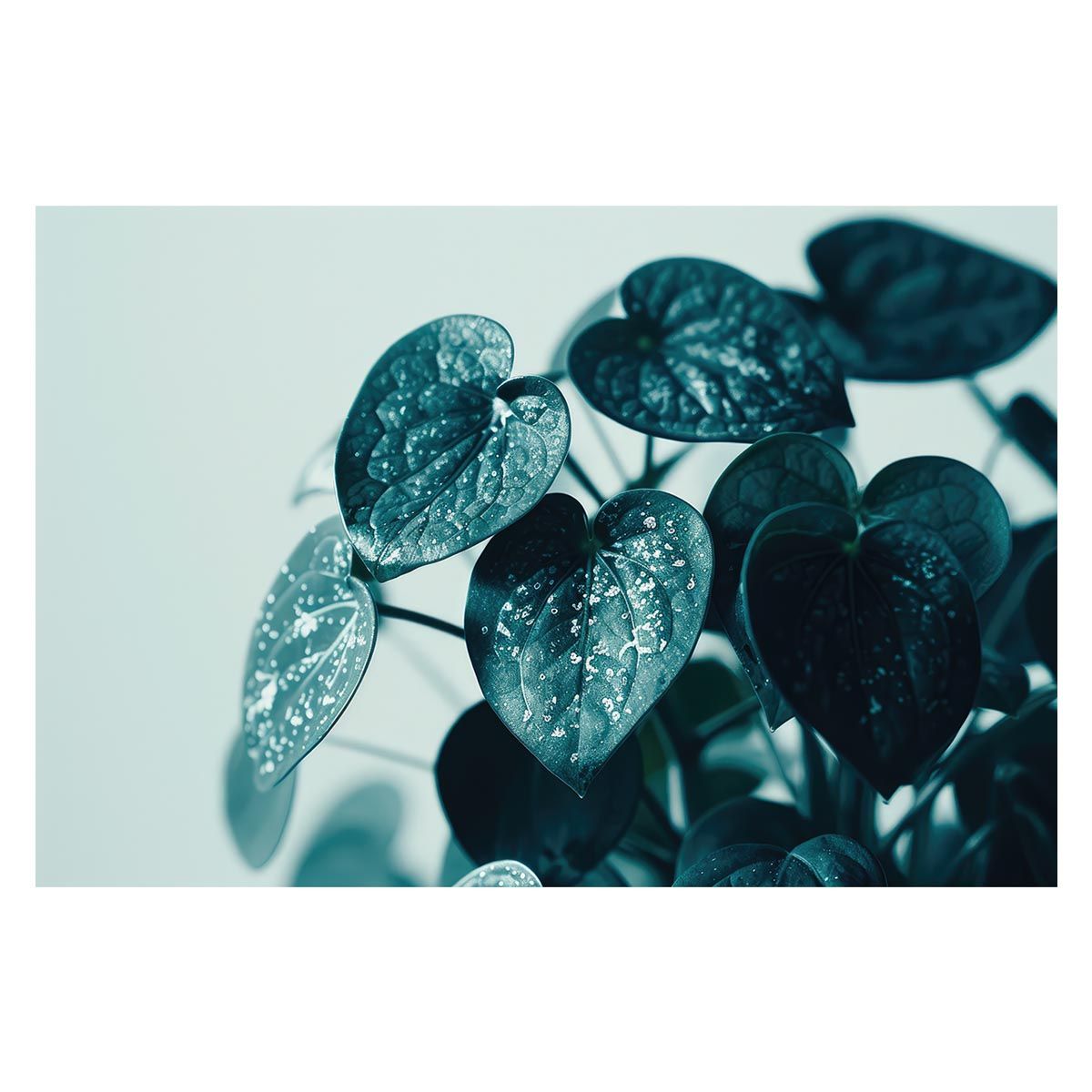 B3サイズ（約36x51cm）】【lh-poster-4705】植物 グリーン 葉っぱ 観葉