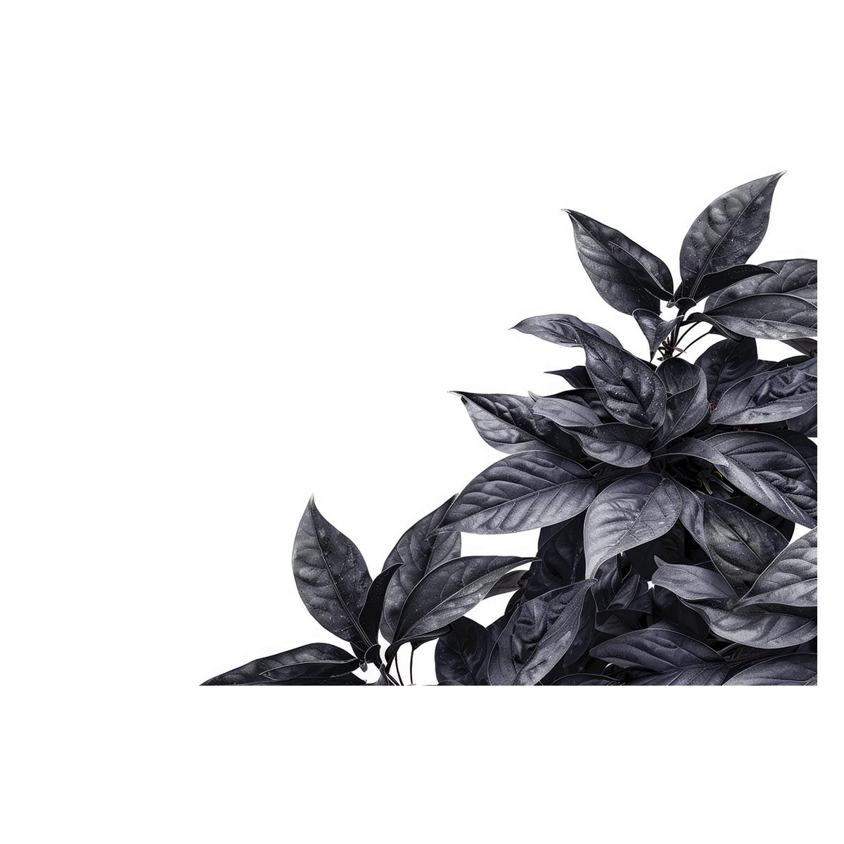 【A1サイズ（約59x84cm）】【lh-poster-4706】植物 グリーン 葉っぱ 観葉 ポスター ボタニカル 草 自然 インテリア アート