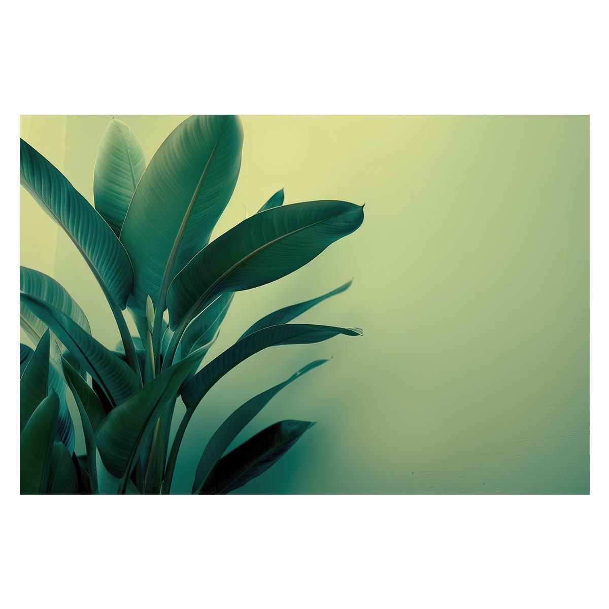 A3サイズ（約30×42cm）】【lh-poster-4715】植物 グリーン 葉っぱ 観葉