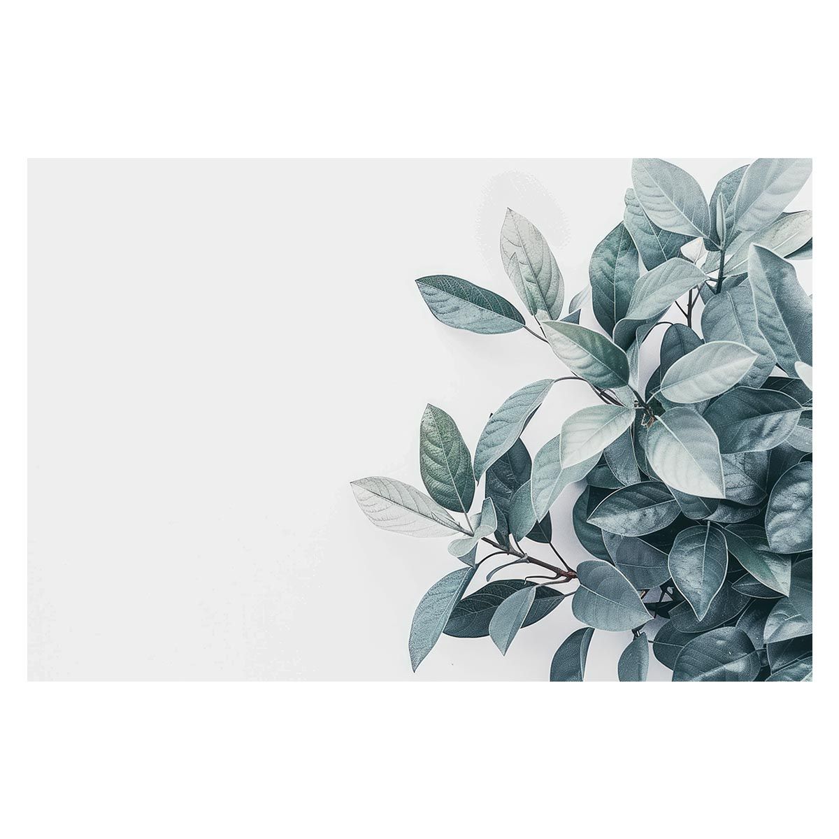 【B3サイズ（約36x51cm）】【lh-poster-4726】植物 グリーン 葉っぱ 観葉 ポスター ボタニカル 草 自然 インテリア  アート