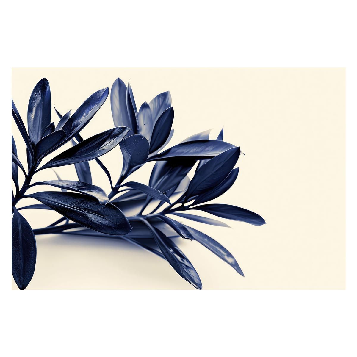 Bellrosy ベルロージー・キスイ kissui スキンケアセット Bellrosy