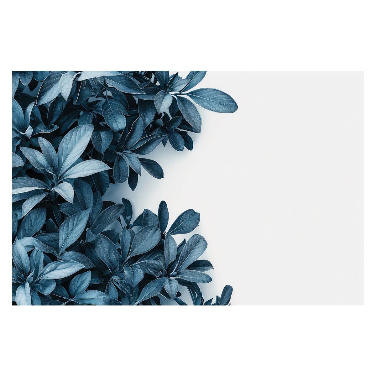 ぐんぐん玉「SEAL」1㎏業務用増量タイプ通常15,000円→10,000円