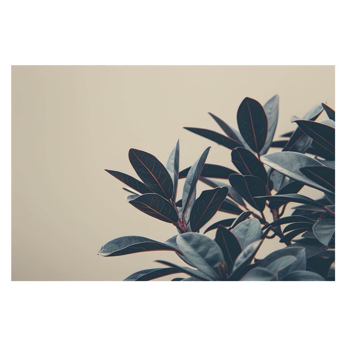 未開封】MG 1/100 ガンダムベース限定 RX-78-2 ガンダム Ver.3.0