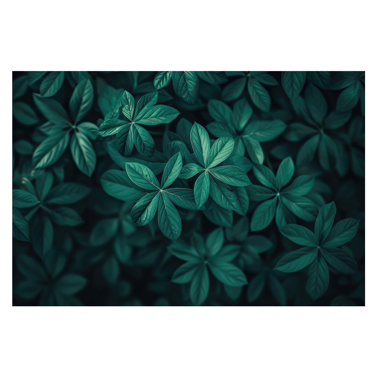 A2サイズ（約42x59cm）】【lh-poster-4760】植物 グリーン 葉っぱ 観葉