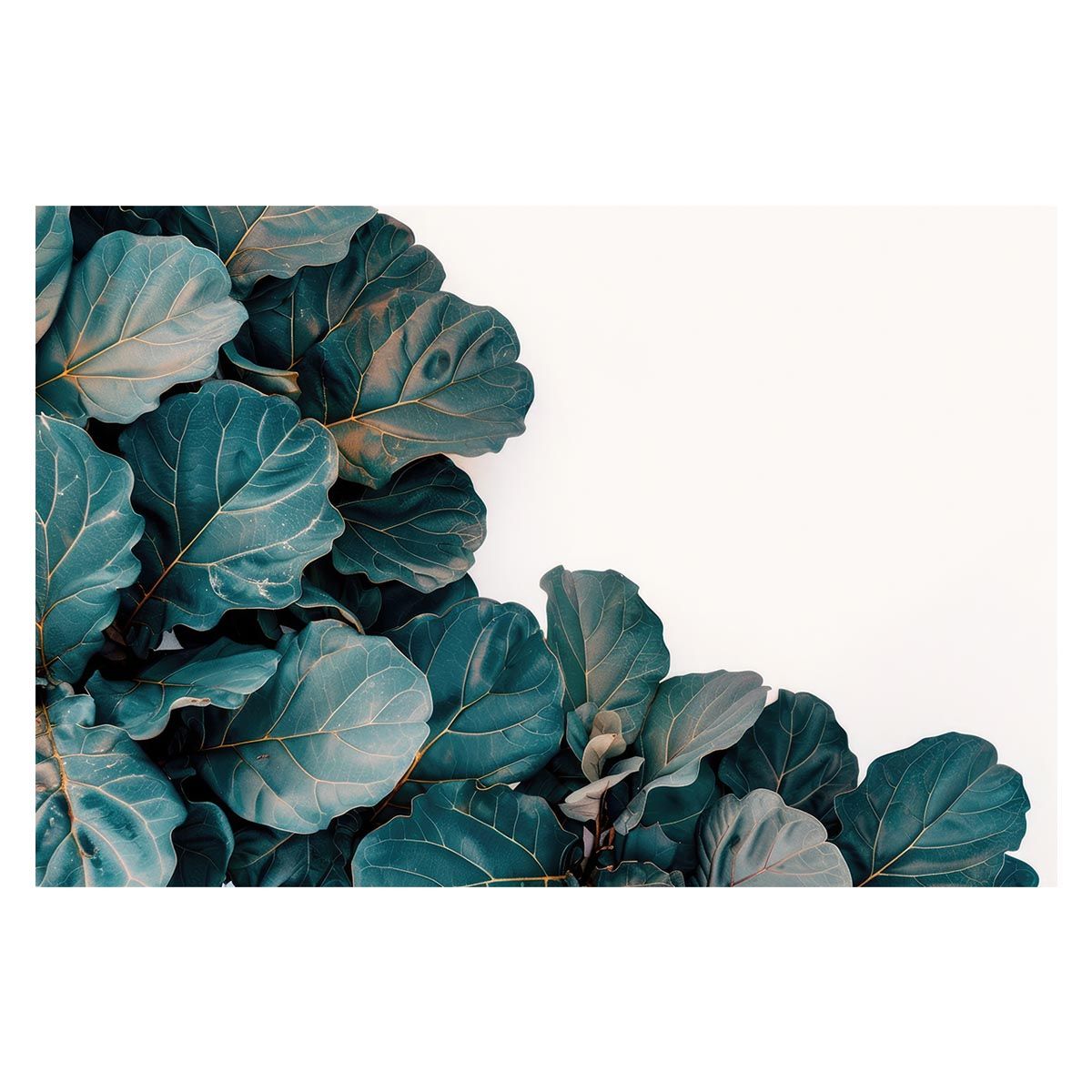 A1サイズ（約59x84cm）】【lh-poster-4775】植物 グリーン 葉っぱ 観葉