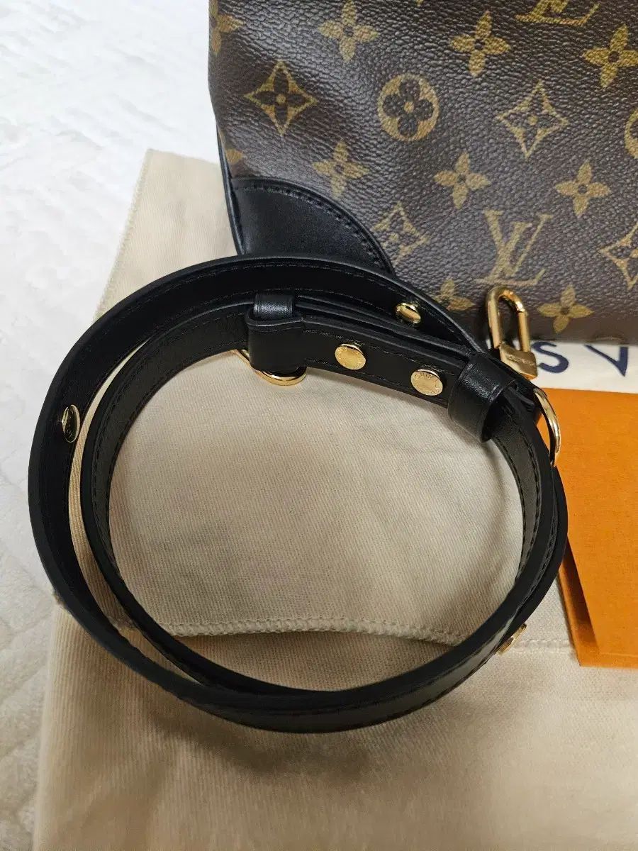 ルイヴィトン ブルノワ ブラック 商品