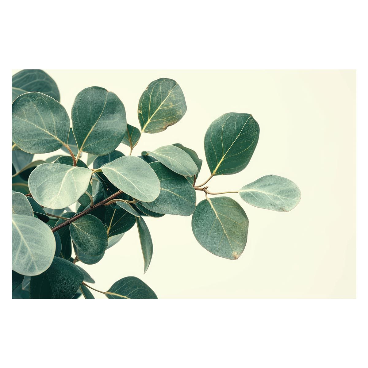 A1サイズ（約59x84cm）】【lh-poster-4777】植物 グリーン 葉っぱ 観葉