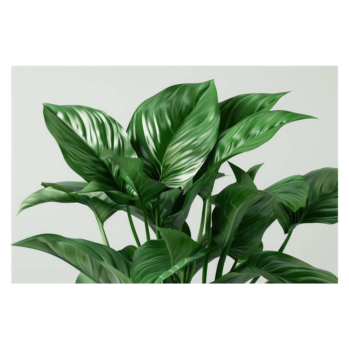 A1サイズ（約59x84cm）】【lh-poster-4782】植物 グリーン 葉っぱ 観葉