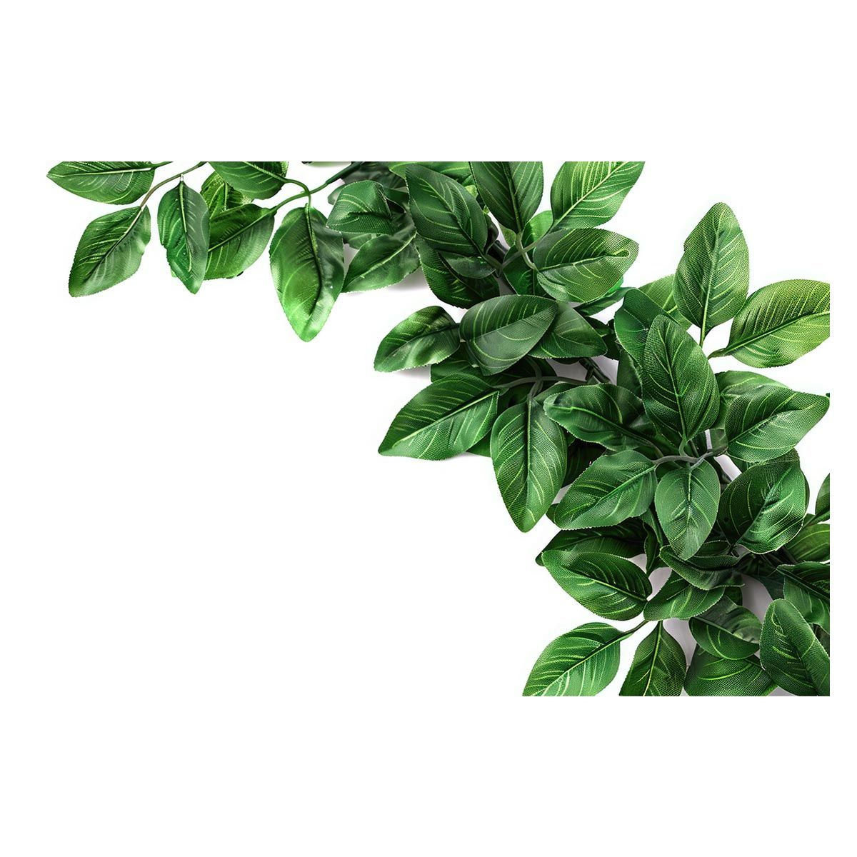 NISSIN 龍翔 鯉 360 クリアランス コイ 振り出し