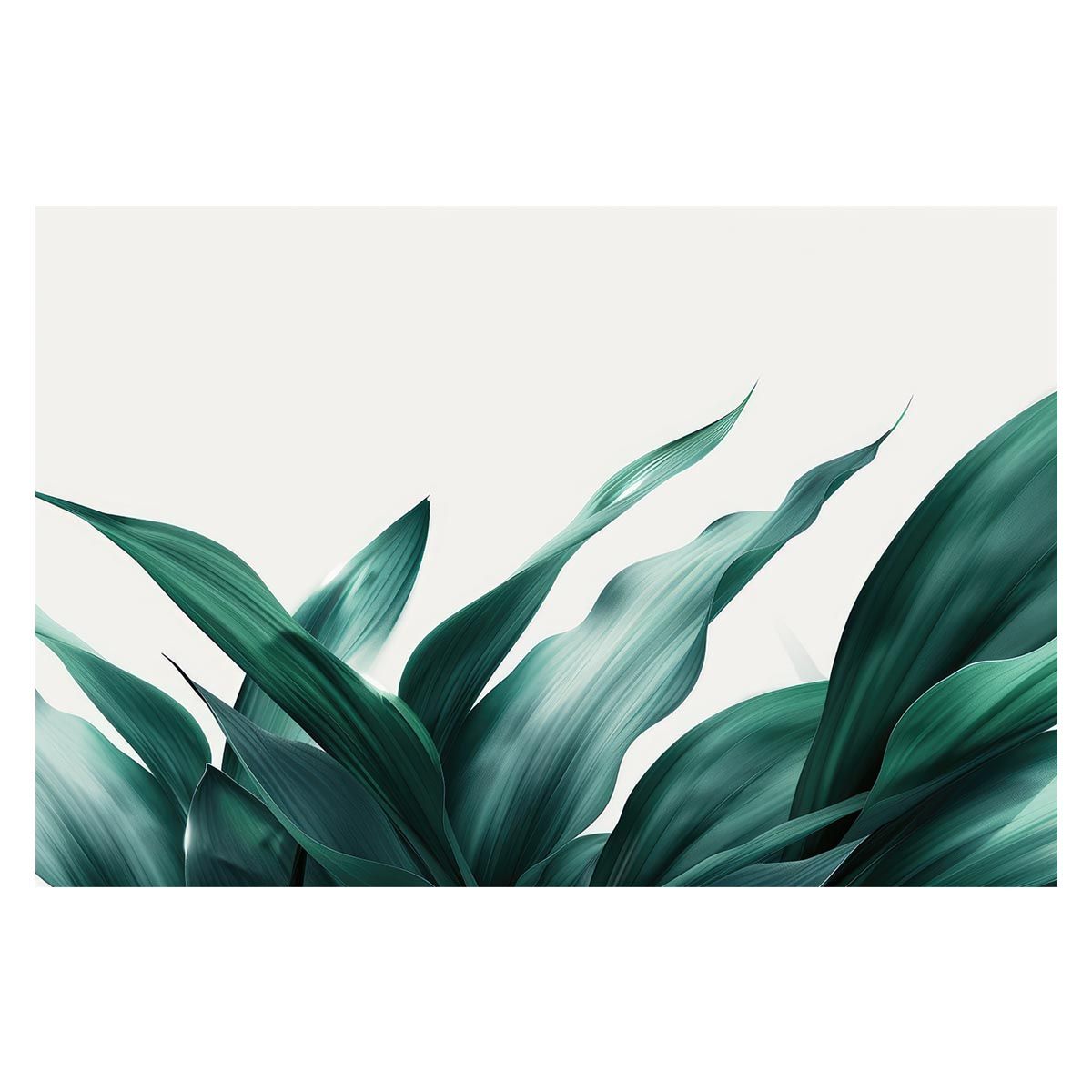 限定版 TRINIDAD GOMEZ Type16 The 工場 Royal