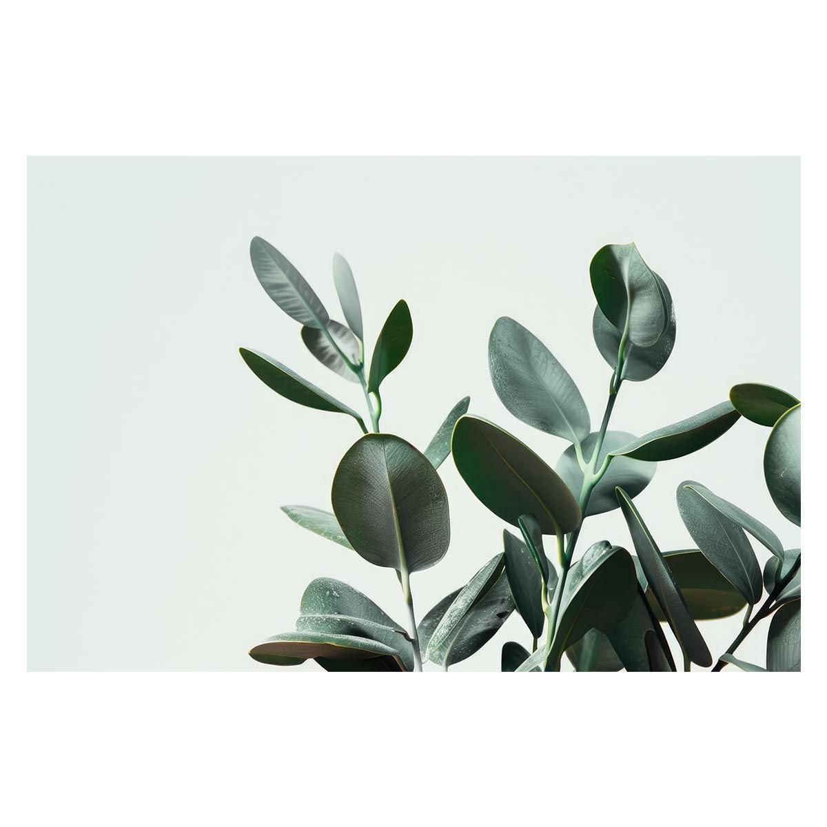 【A1サイズ（約59x84cm）】【lh-poster-4788】植物 グリーン 葉っぱ 観葉 ポスター ボタニカル 草 自然 インテリア アート
