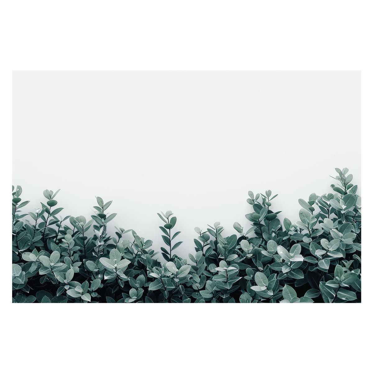 【B1サイズ（約73x103cm）】【lh-poster-4789】植物 グリーン 葉っぱ 観葉 ポスター ボタニカル 草 自然 インテリア アート