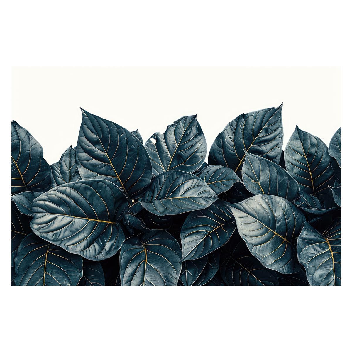 B1サイズ（約73x103cm）】【lh-poster-4793】植物 グリーン 葉っぱ