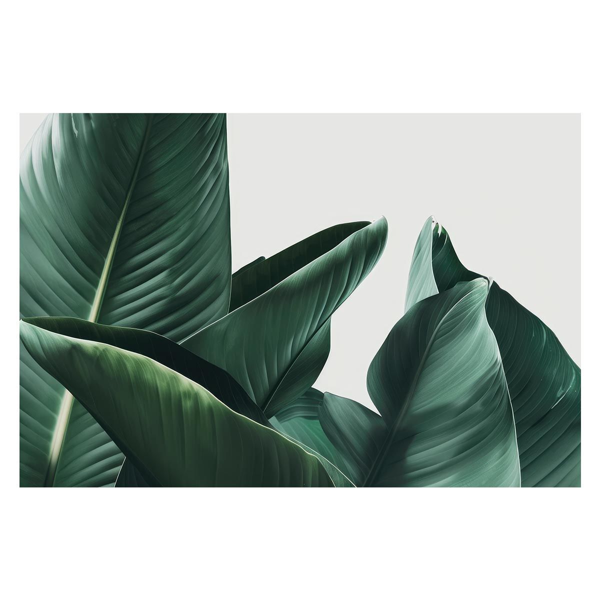 洋様分 シマノ ブルズアイ9120 2台セット パワーエアロ スーパーエアロ