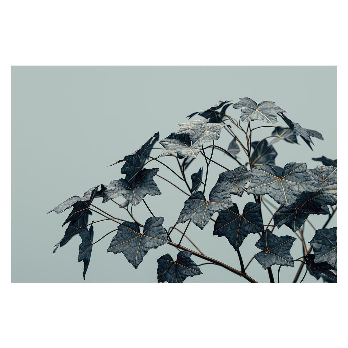 福井利佐の展覧会ポスター、新聞まとめて