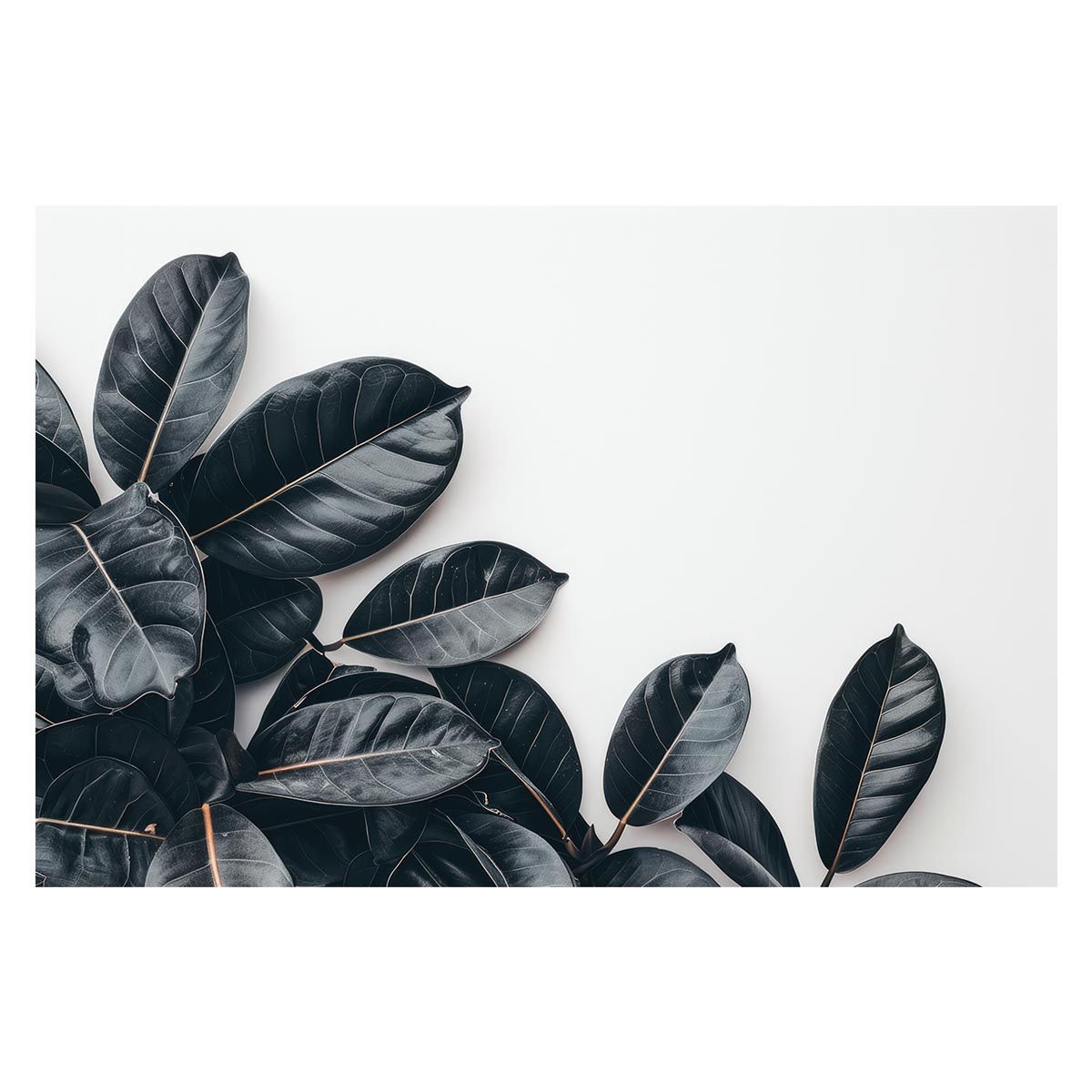 【B2サイズ（約51x73cm）】【lh-poster-4808】植物 グリーン 葉っぱ 観葉 ポスター ボタニカル 草 自然 インテリア アート