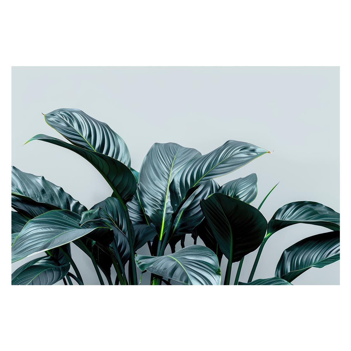 A1サイズ（約59x84cm）】【lh-poster-4811】植物 グリーン 葉っぱ 観葉