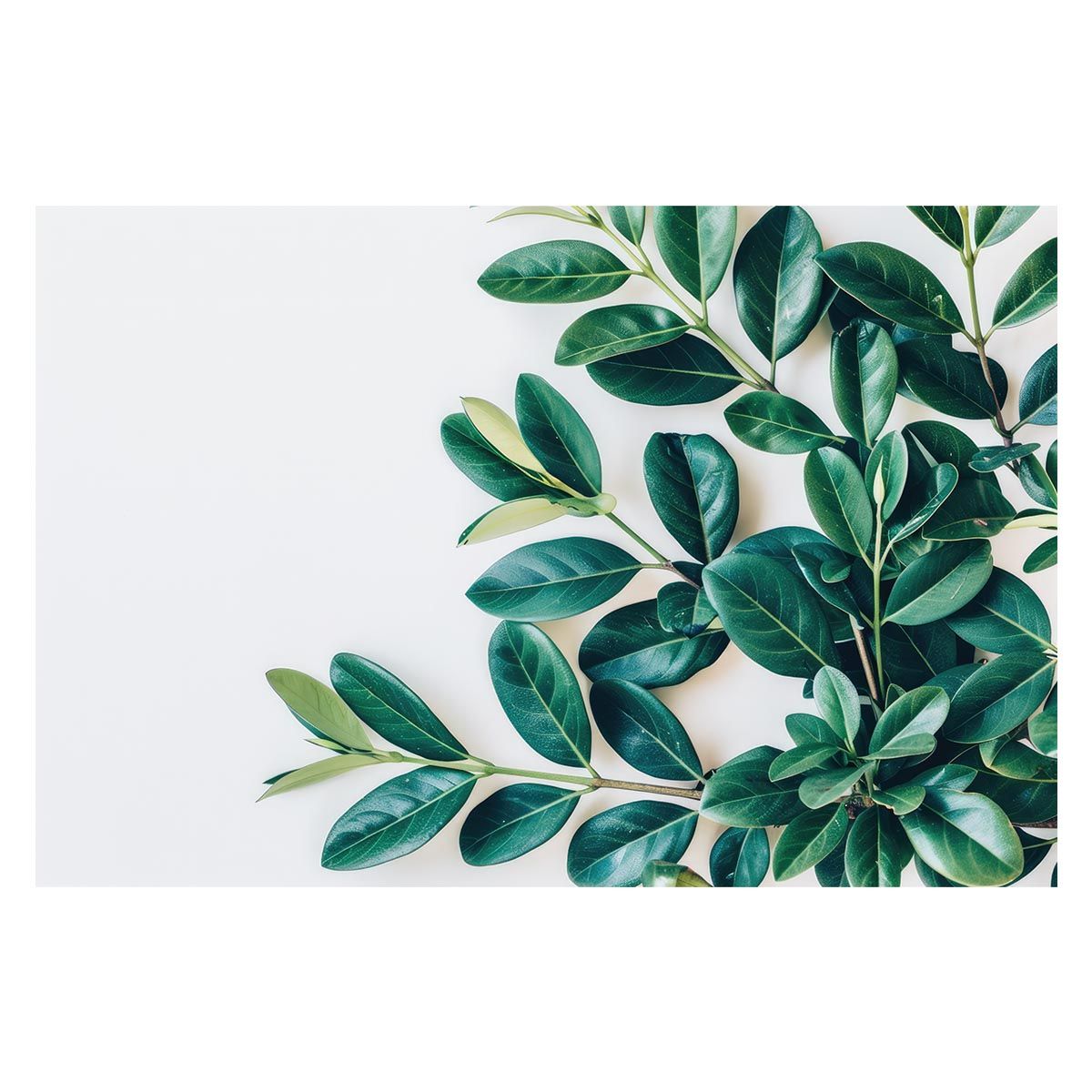 A1サイズ（約59x84cm）】【lh-poster-4812】植物 グリーン セール