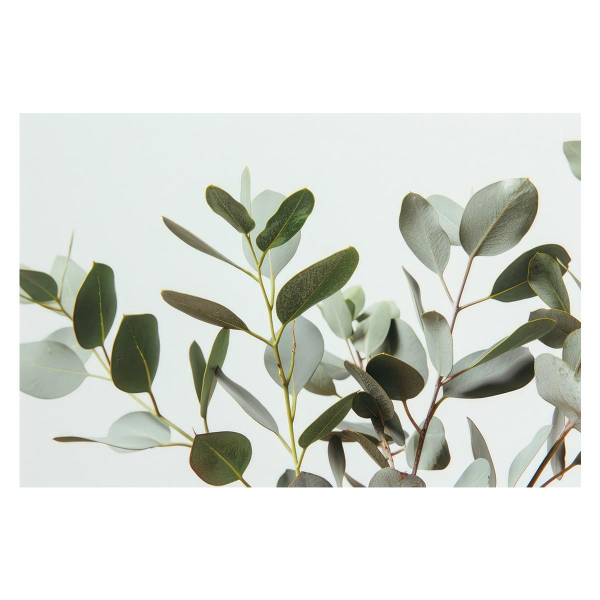 【A1サイズ（約59x84cm）】【lh-poster-4822】植物 グリーン 葉っぱ 観葉 ポスター ボタニカル 草 自然 インテリア アート