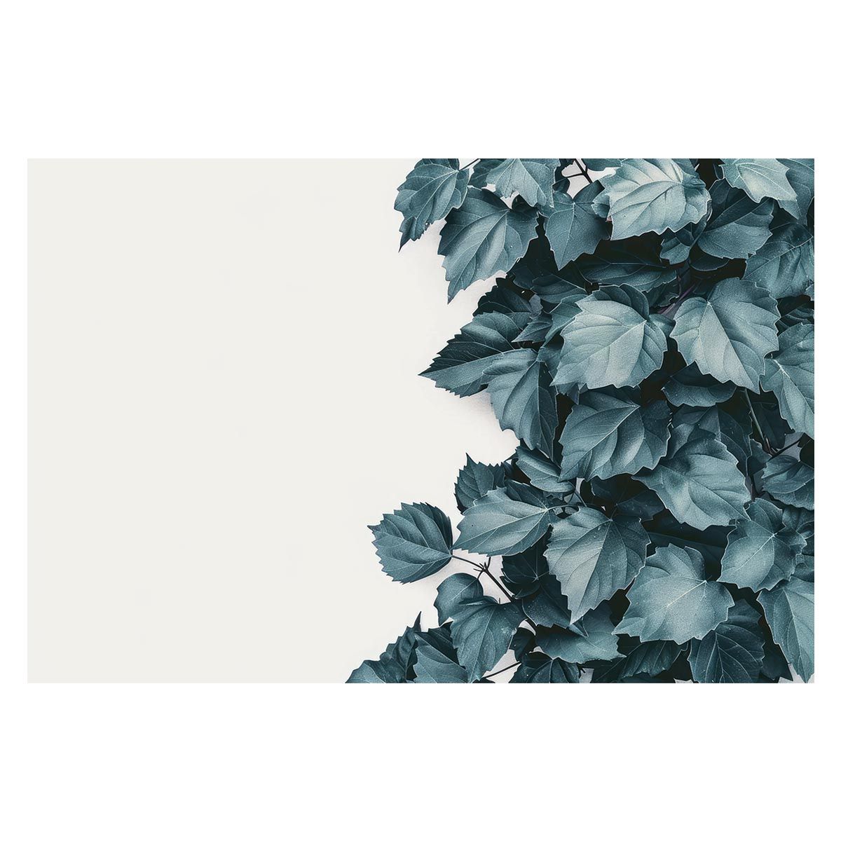 【B1サイズ（約73x103cm）】【lh-poster-4844】植物 グリーン 葉っぱ 観葉 ポスター ボタニカル 草 自然 インテリア アート