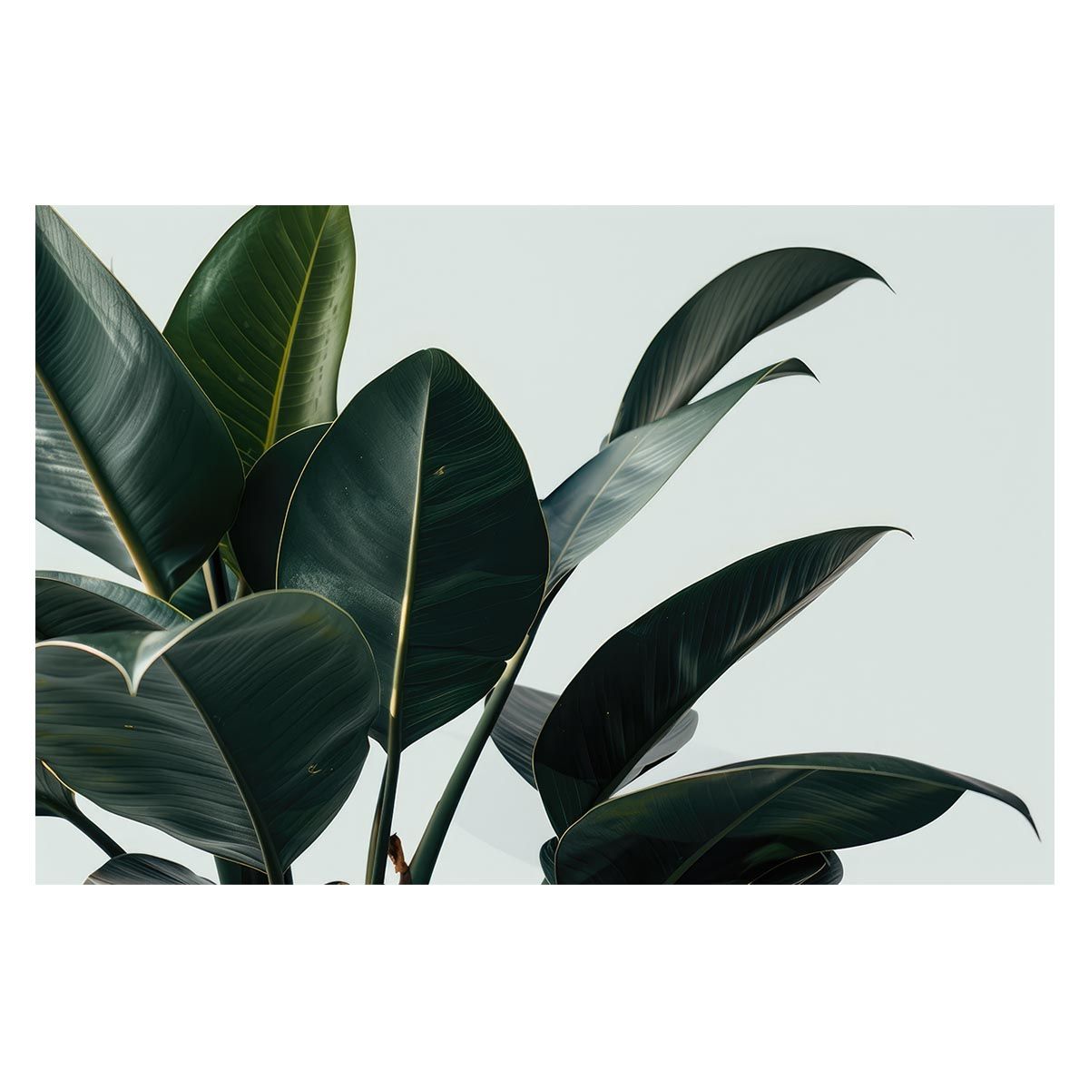 【A1サイズ（約59x84cm）】【lh-poster-4849】植物 グリーン 葉っぱ 観葉 ポスター ボタニカル 草 自然 インテリア アート