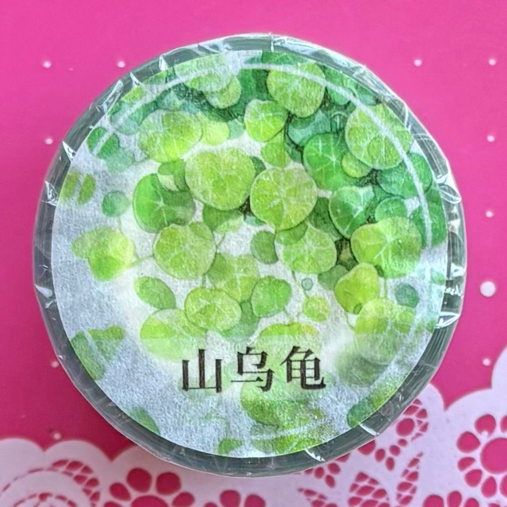 PET 山乌龟 5.5 cm×10 m 100 cm|loop 海外マスキングテープ 海外マステ 葉