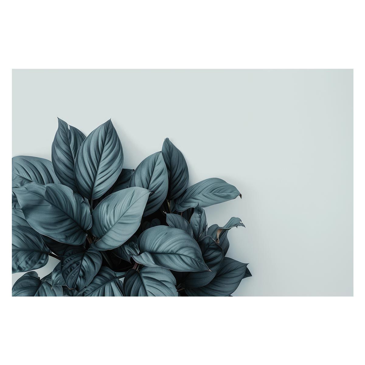 【B1サイズ（約73x103cm）】【lh-poster-4856】植物 グリーン 葉っぱ 観葉 ポスター ボタニカル 草 自然 インテリア アート