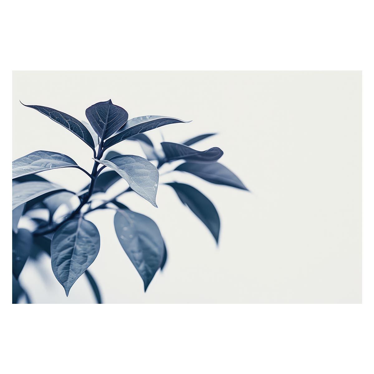 【A1サイズ（約59x84cm）】【lh-poster-4857】植物 グリーン 葉っぱ 観葉 ポスター ボタニカル 草 自然 インテリア アート