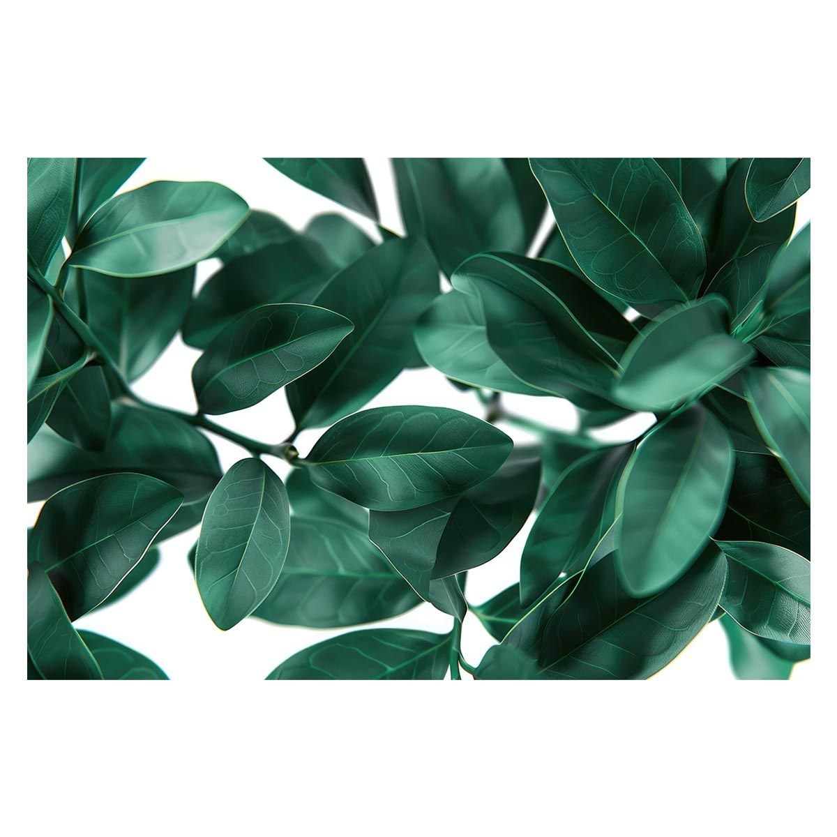 【A1サイズ（約59x84cm）】【lh-poster-4858】植物 グリーン 葉っぱ 観葉 ポスター ボタニカル 草 自然 インテリア アート