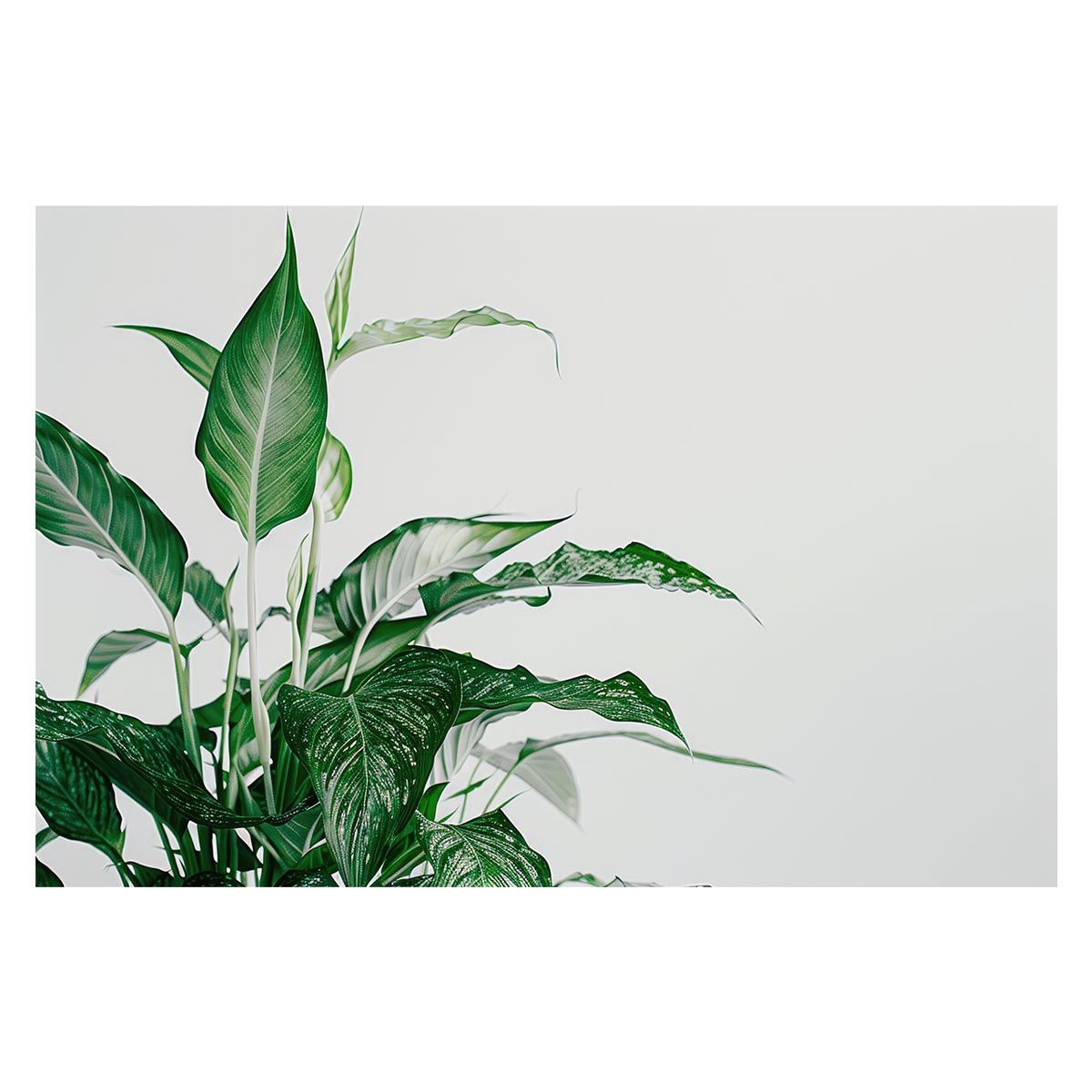 【B1サイズ（約73x103cm）】【lh-poster-4860】植物 グリーン 葉っぱ 観葉 ポスター ボタニカル 草 自然 インテリア アート