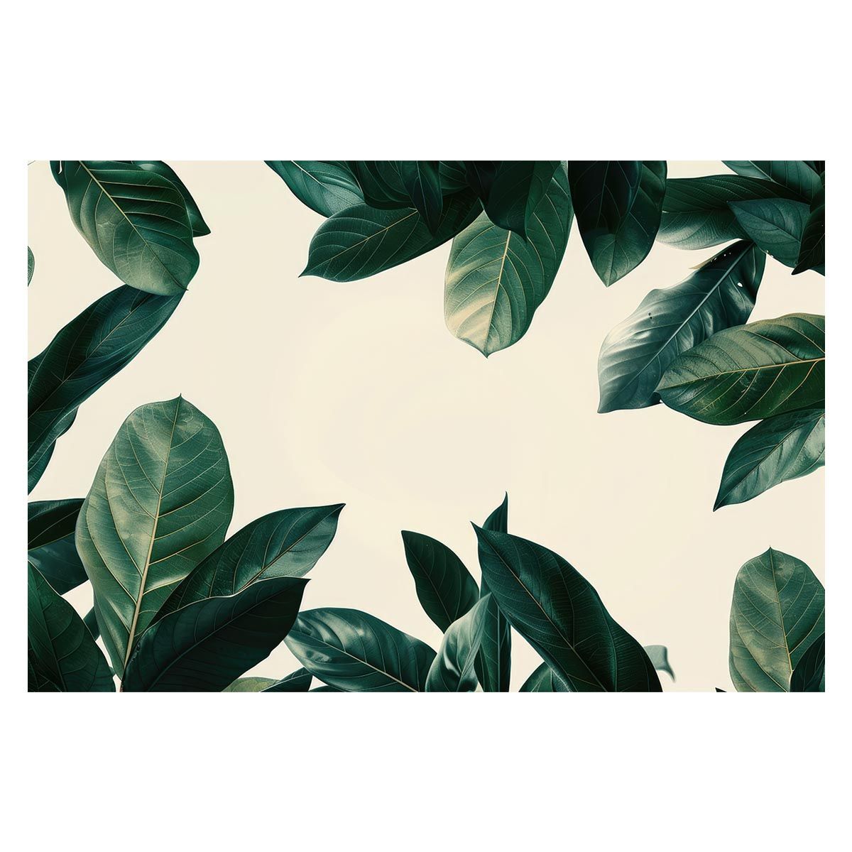【A1サイズ（約59x84cm）】【lh-poster-4861】植物 グリーン 葉っぱ 観葉 ポスター ボタニカル 草 自然 インテリア アート