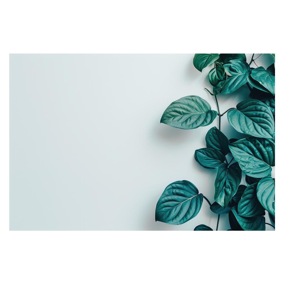 【B1サイズ（約73x103cm）】【lh-poster-4875】植物 グリーン 葉っぱ 観葉 ポスター ボタニカル 草 自然 インテリア アート