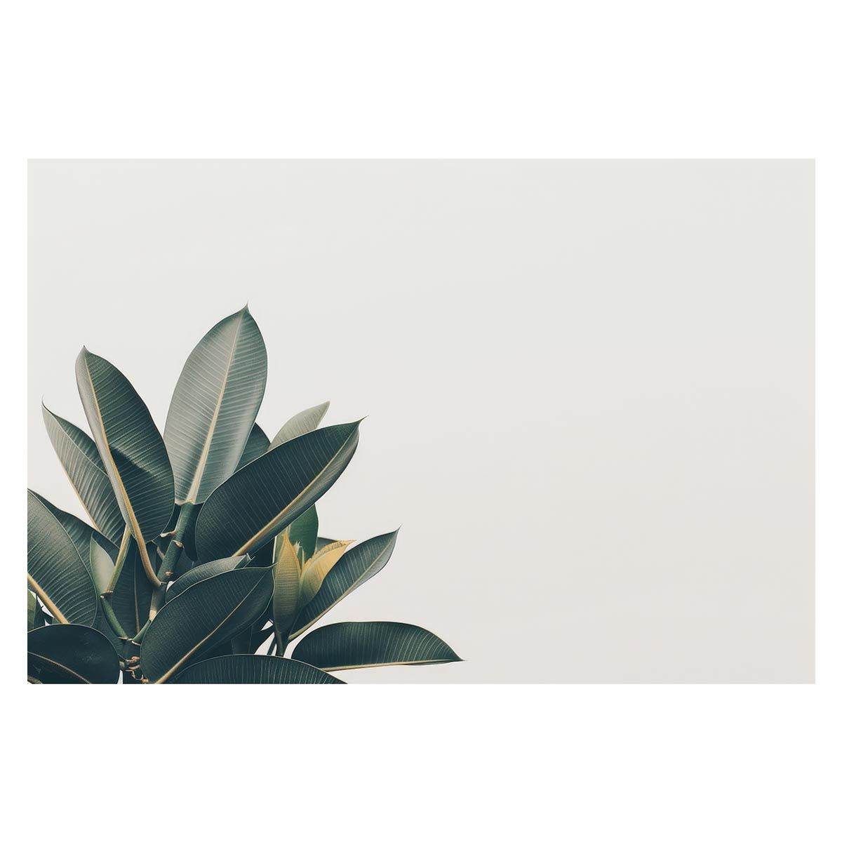 抽プレ 松本穂香 直筆サイン入りチェキ