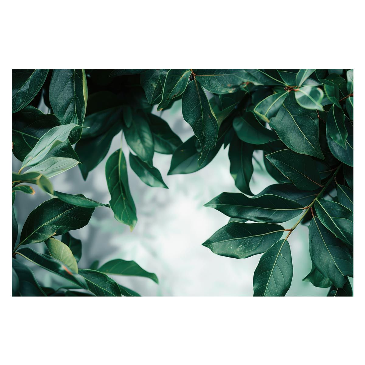 B1サイズ（約73x103cm）】【lh-poster-4887】植物 節約 グリーン