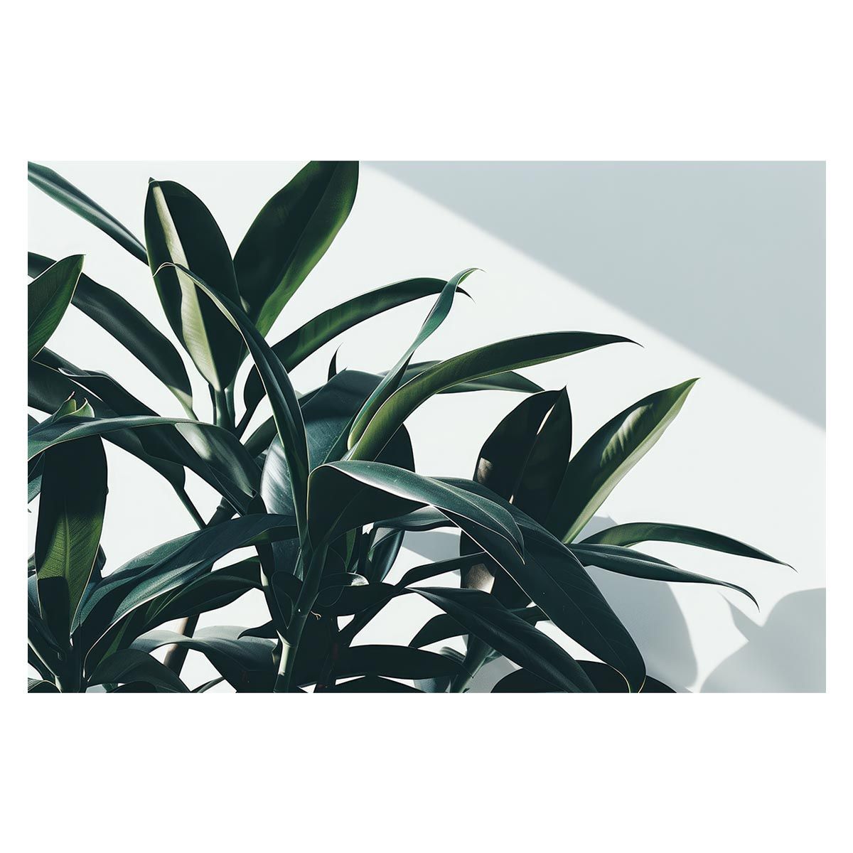 PUZZLE ダメージコレクション ビッグラブレコード限定盤アナログ ストア