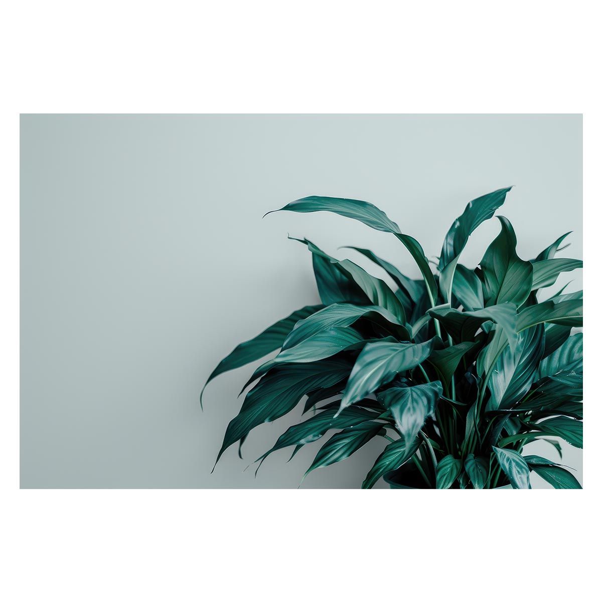 【B2サイズ（約51x73cm）】【lh-poster-4893】植物 グリーン 葉っぱ 観葉 ポスター ボタニカル 草 自然 インテリア アート