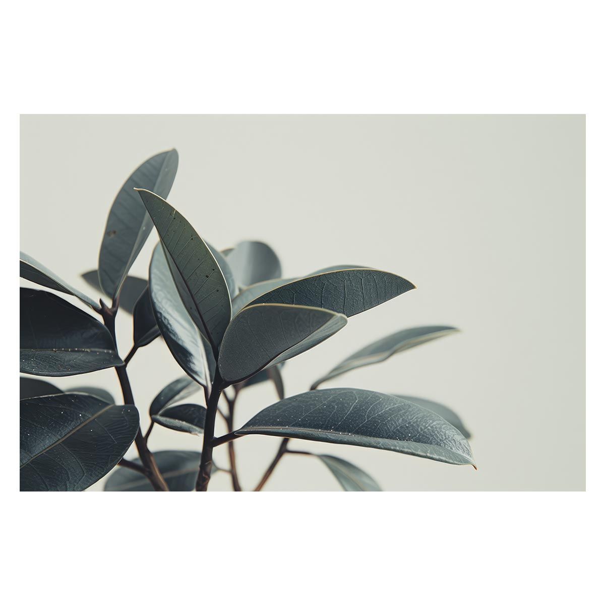 インドネシアバリ島アート細密画 神の踊り コモシャンバラ