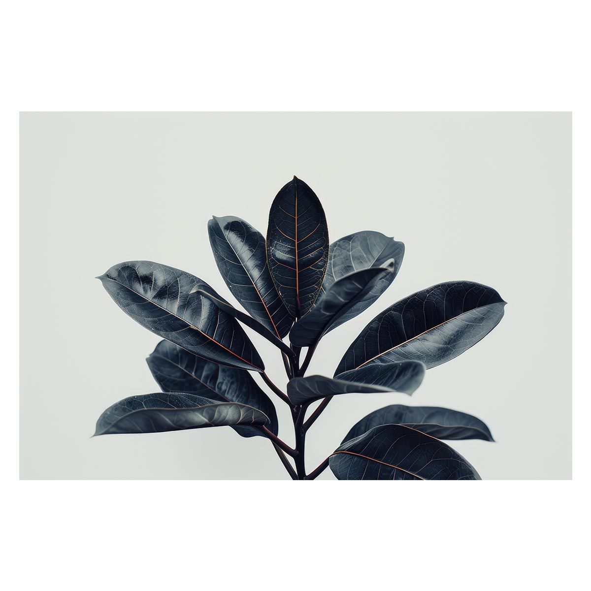 スズキ スペーシア ギア 2018年12月- DIXCEL(ディクセル) ブレーキ