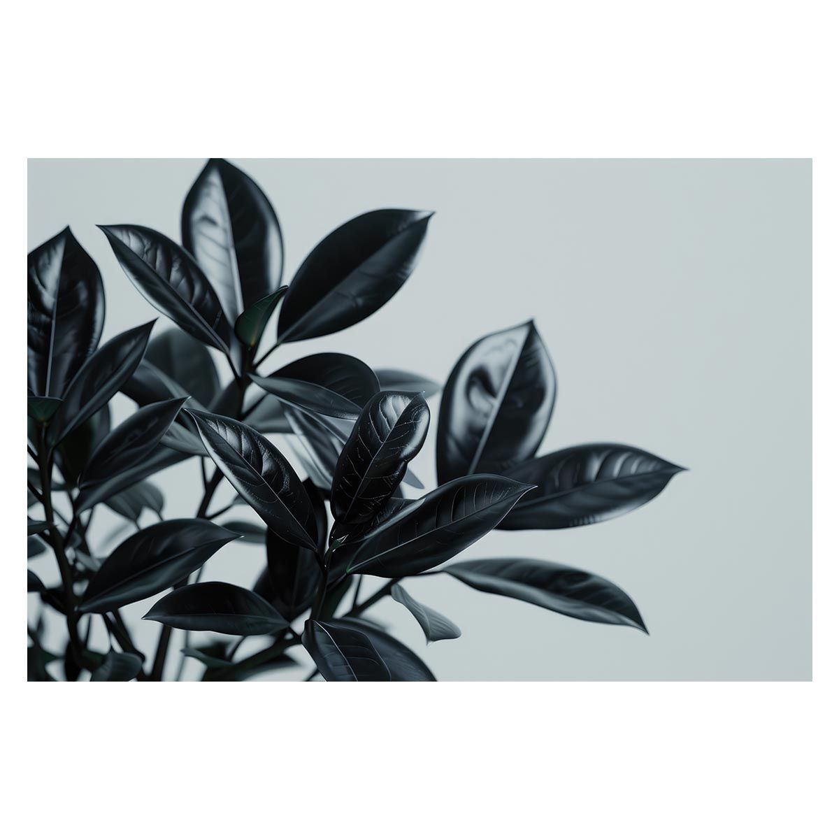 【B2サイズ（約51x73cm）】【lh-poster-4901】植物 グリーン 葉っぱ 観葉 ポスター ボタニカル 草 自然 インテリア アート