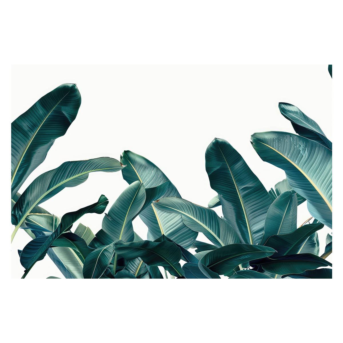 【A1サイズ（約59x84cm）】【lh-poster-4904】植物 グリーン 葉っぱ 観葉 ポスター ボタニカル 草 自然 インテリア アート
