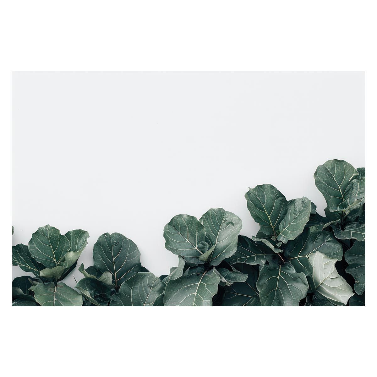 babythree オイル目 オイルアイ カピパラ 1000%