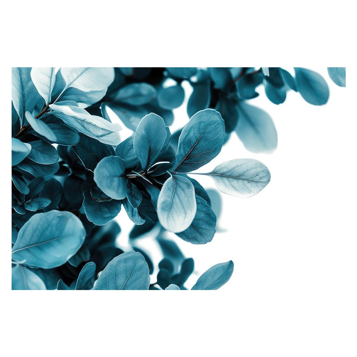 【#3154】FAP 植物　アートポスター ① GPと愉快な仲間たち A2ポスター | ファーニーズ商店